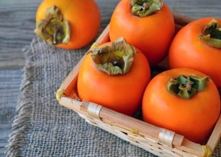 خرمالوی قصرالدشتی جهرم؛ گزینه‌ای خاص برای بازارهای داخلی و خارجی
