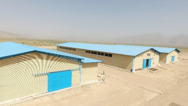 سهام پتروشیمی جهرم، یکی از طرح های کلاهبرداری بورس!