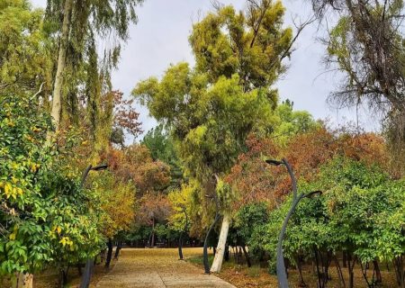 اقدام مشترک پلیس و دستگاه قضایی در جهرم برای مقابله با ناهنجاری‌ها؛ تأمین امنیت عمومی در تفرجگاه‌ها در دستور کار قرار دارد