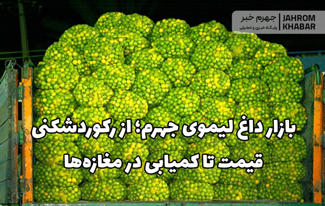 بازار داغ لیموی جهرم؛ از رکوردشکنی قیمت تا کمیابی در مغازهها