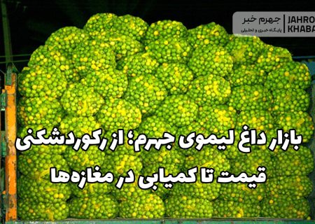 بازار داغ لیموی جهرم؛ از رکوردشکنی قیمت تا کمیابی در مغازه‌ها