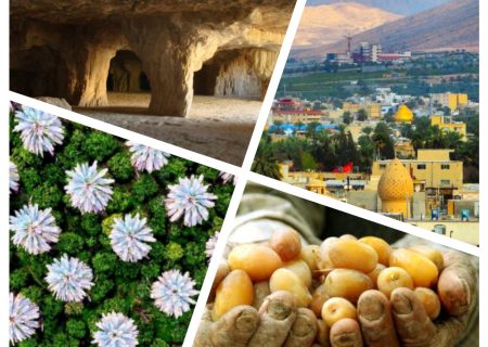جهرم؛ شهری با ظرفیت‌های گردشگری برای فردا