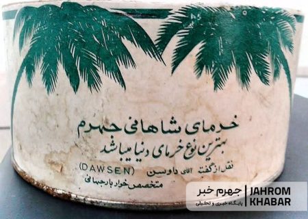شاهانیِ بی‌جان؛ روایت افول نخلستان‌هایی که روزی مایه فخر جهرم بودند