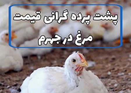 پشت پرده گرانی قیمت مرغ در جهرم