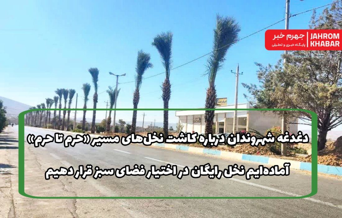 دغدغه شهروندان درباره کاشت نخلهای مسیر «حرم تا حرم»/ آمادهایم نخل رایگان در اختیار فضای سبز قرار دهیم