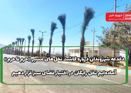 دغدغه شهروندان درباره کاشت نخل‌های مسیر «حرم تا حرم»/ آماده‌ایم نخل رایگان در اختیار فضای سبز قرار دهیم