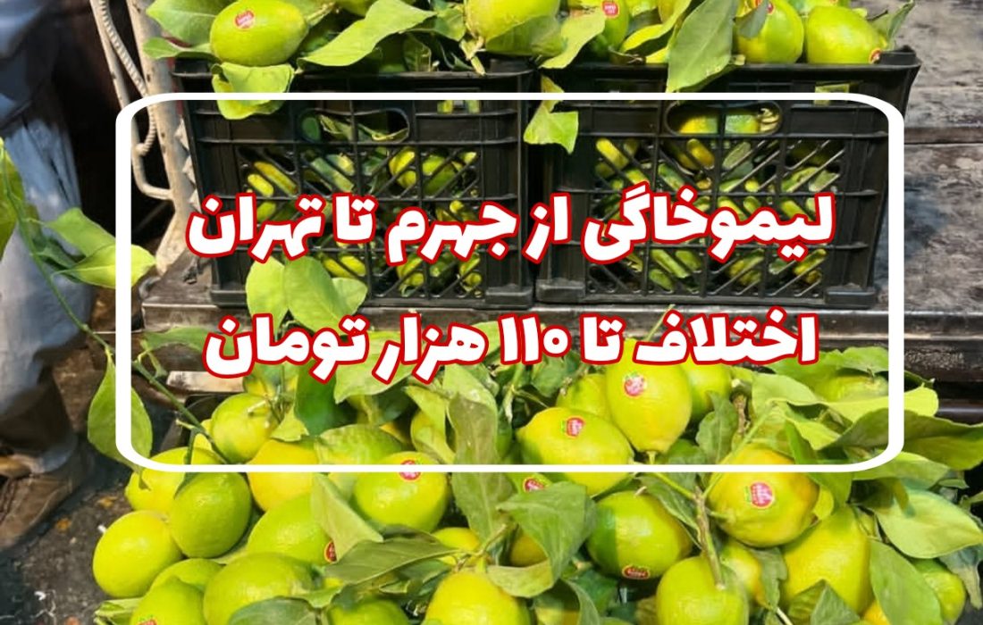 لیموخاگی از جهرم تا تهران؛ اختلاف تا ۱۱۰ هزار تومان