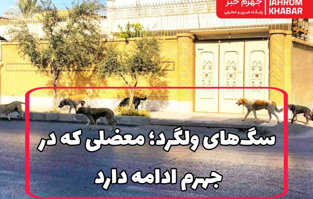 سگ‌های ولگرد؛ معضلی که در جهرم ادامه دارد