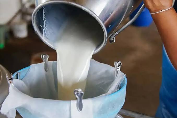 شیر ۴۰ هزار تومانی در جهرم؛ بلاتکلیفی نرخ رسمی و فشار نهاده‌ها