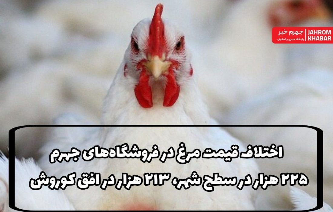اختلاف قیمت مرغ در فروشگاه‌های جهرم؛ ۲۲۵ هزار در سطح شهر، ۲۱۳ هزار در افق کوروش