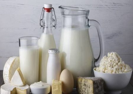 لبنیات؛ کالایی ضروری در تنگنای قیمت