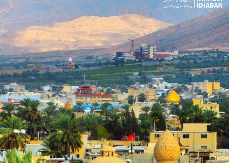 نخل در جهرم؛ درخت زندگی و هویت