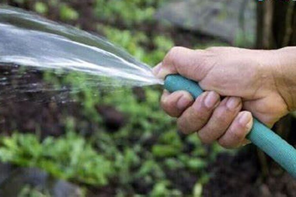خانهتکانی نوروزی یا نابودی آب؟