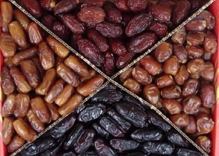 خرمای جهرم پشت دروازه‌های بسته صادرات؛ ثروت استراتژیکی که در بحران گم شد