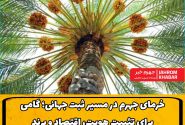 خرمای جهرم در مسیر ثبت جهانی؛ گامی برای تثبیت هویت، اقتصاد و برند نخلستان‌های جنوب فارس