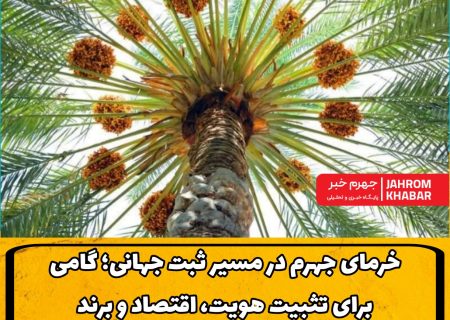 خرمای جهرم در مسیر ثبت جهانی؛ گامی برای تثبیت هویت، اقتصاد و برند نخلستان‌های جنوب فارس