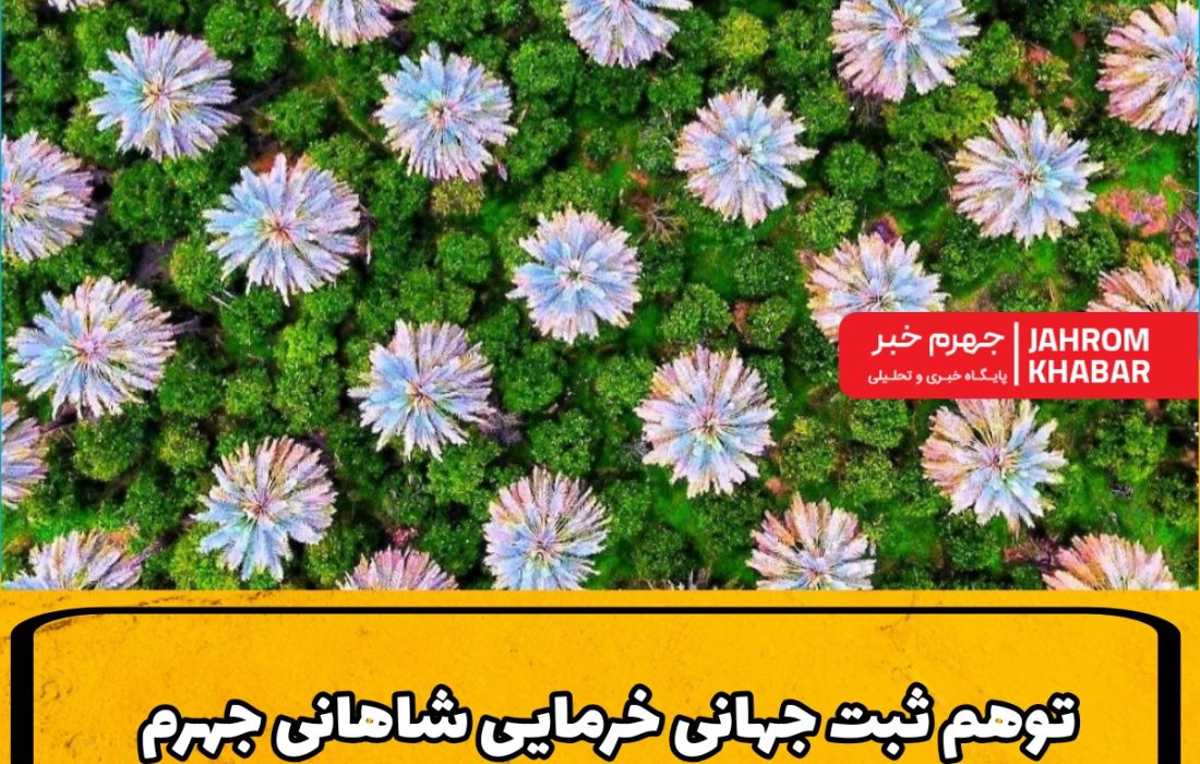 توهم ثبت جهانی خرمایی شاهانی جهرم؛ وقتی میراث را با پرونده اشتباه می‌گیریم!