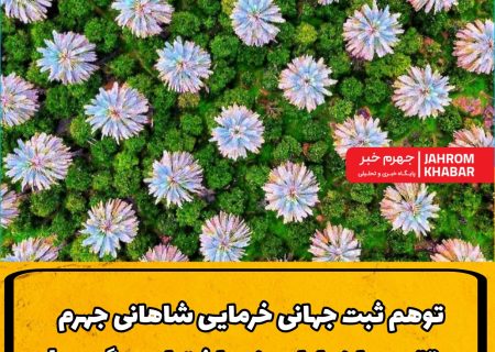 توهم ثبت جهانی خرمایی شاهانی جهرم؛ وقتی میراث را با پرونده اشتباه می‌گیریم!