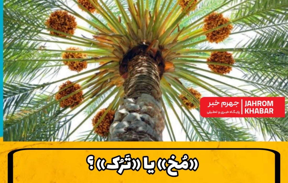 «مُخ» یا «تَرُک»؟؛ واکاویِ یک میراثِ زبانی در قلبِ جهرم