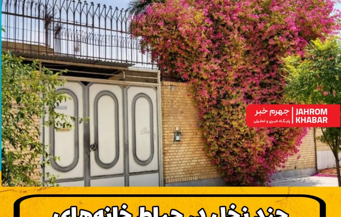 چند نخل در حیاط خانههای جهرم جا خوش کرده؟/بازگشت قدرتمند نخل به شهر