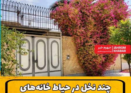 چند نخل در حیاط خانه‌های جهرم‌ جا خوش کرده؟/بازگشت قدرتمند نخل به شهر